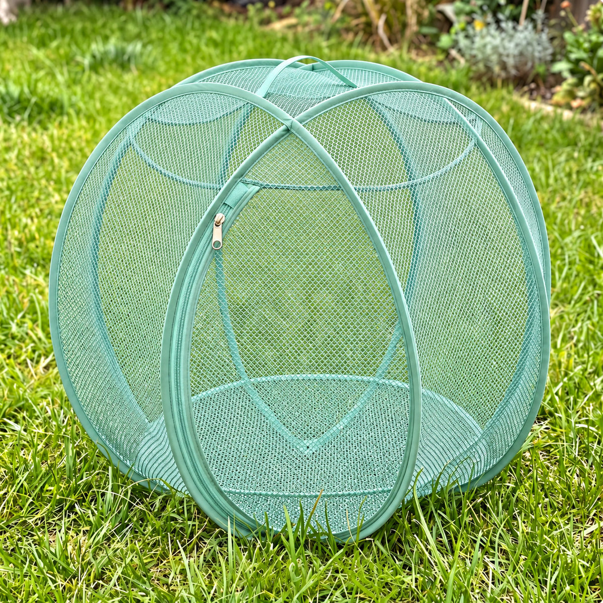 BallZe pop-up cat playpen in green