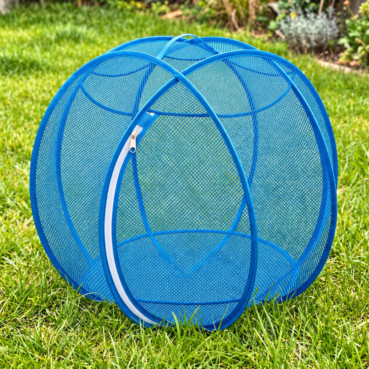 BallZe pop-up cat playpen in blue